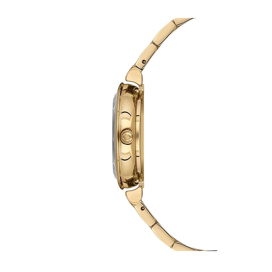 Nacar NC34-3921125-DSM Kadın Kol Saati - Görsel 3