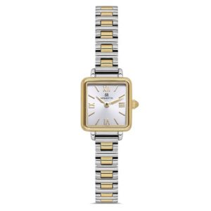 Momentus CW312T-02SG Kadın Kol Saati